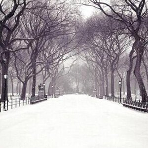 Snow! XD