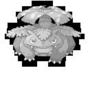 how to align venusaur