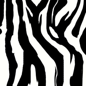 zebra pattern