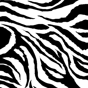 zoom zebra print