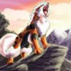 arcanine