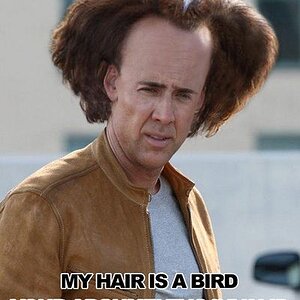 Hey...his hair is a bird.