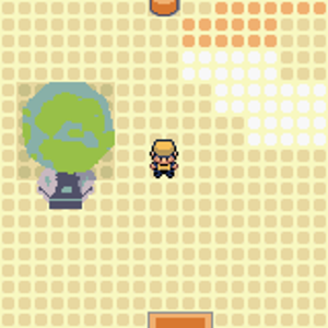 複製 (6)  複製  pokemon ruby e 10
