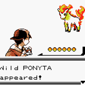 Wild PONYTA appeared!