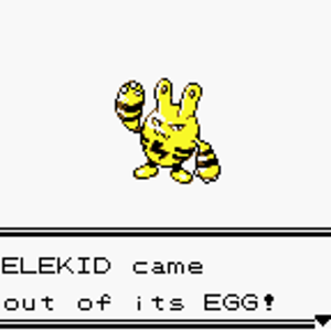 ELEKID came out if its EGG!