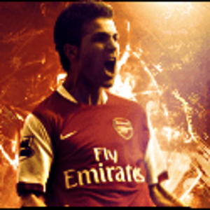 fabregas copy