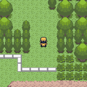 複製 (12)  複製  pokemon ruby e 05