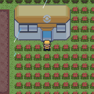 複製 (12)  複製  pokemon ruby e 18
