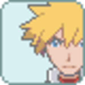 Gym Badge Case "Mug Shot" I made for my character.