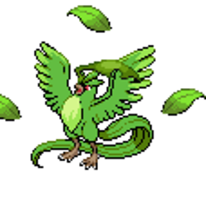 Grass Bird