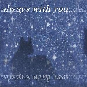 Starclan is always with you