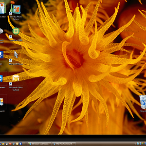 Just... incredible. Nothing beats the color orange.
