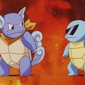 Wartortle and Squirtle