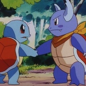 Squirtle and Wartortle from 'Pokemon Water War'