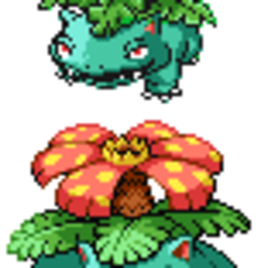 venusaurrevamp
