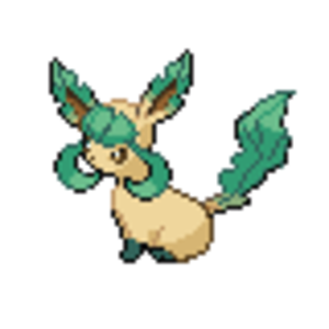 glacileaf