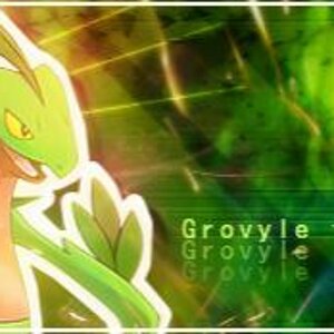 Another Grovyle banner