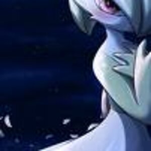 images[2]