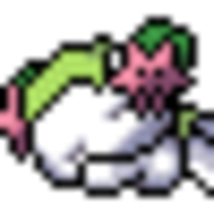 shaymin land chao