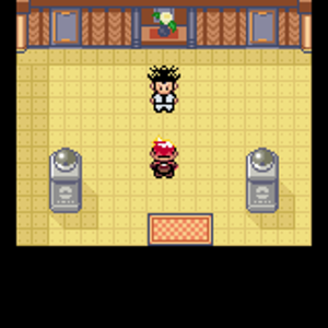 Pokemon Chaos Emerald 01