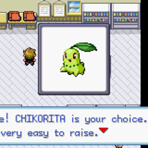 My Grass starter pokemon; Chikorita. (Yay)