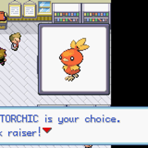My fire starter pokemon; Torchic! ^_^
