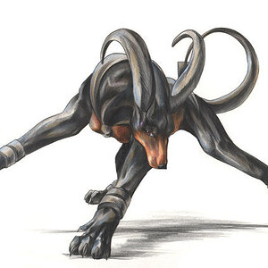 Houndoom art