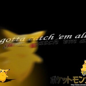2488 pokemon 011 ovtqo