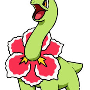 The Second Best Starters Final Form