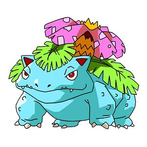 Da Best Starters Final Form (respect the classics man)