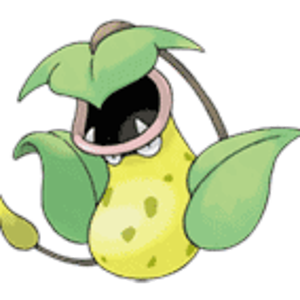 The Pokemon Fly Catcher
