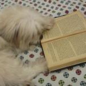 truffles read!