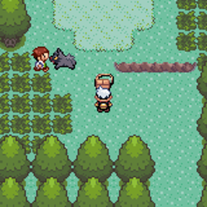 Pokemon Emerald 03