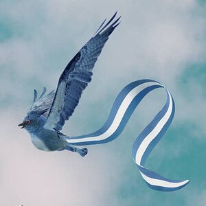 Articuno