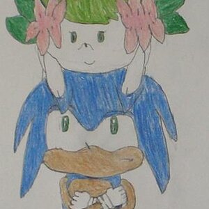 Sonic and Shaymin!  LOL