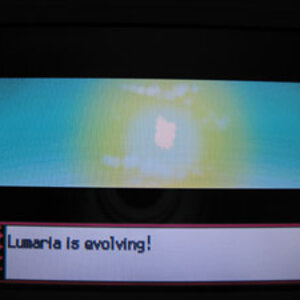 Aaaaaaaaaaah!