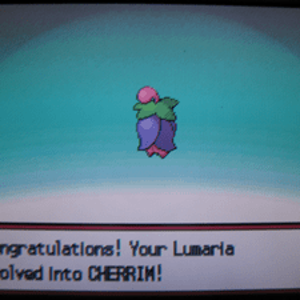 "AAAAAAAAAAAAAH. ILU CHERRIM."