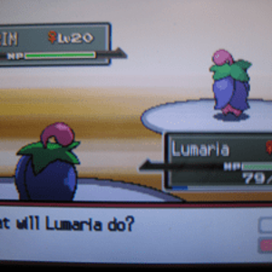And now, the whole reason I spent like 5 or 6 hours levelling Cherubi up in Eterna Forest...