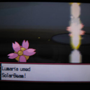 I tried to take pictures of all the attacks used but Magical Leaf is impossible to get on camera. :(