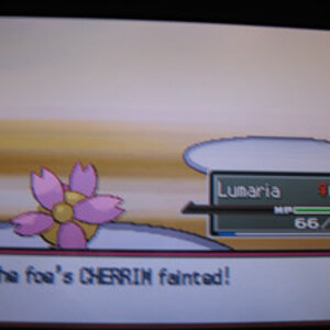 Whoooo, it only took like 4 turns and that's including a super potion. XD