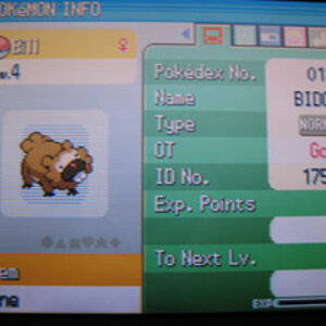 Bill the Bidoof II.

In Diamond, I don't even remember why, but Morkula was getting a Pokémon from me. I told him to catch the next Bidoof he found an