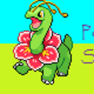 SA banner