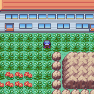 Pokemon   Axed # GBA