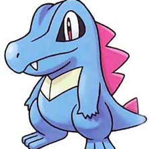 Totodile Pic