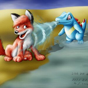 Totodile Water Guns A Fox