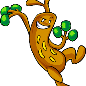 Sudowoodo