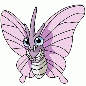 Venomoth