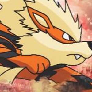 Arcanine Banner made by .raiden