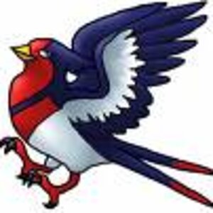 swellow