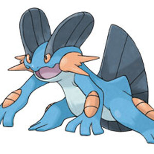 Swampert